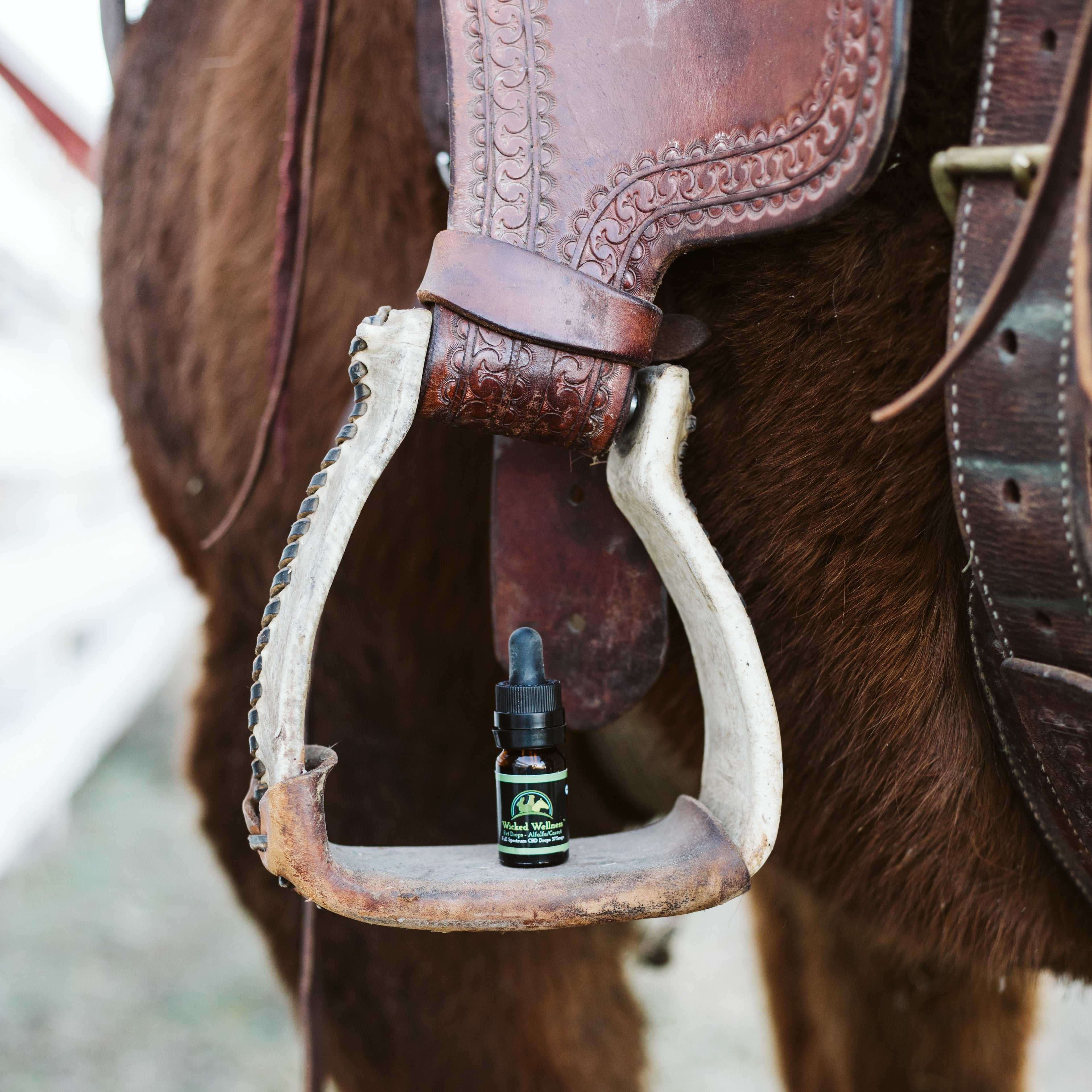 Pet CBD