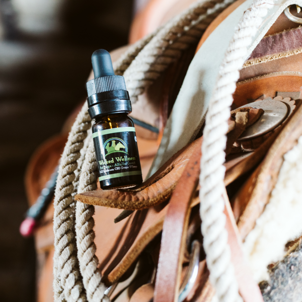 Alfalfa Carrot Pet CBD Oil