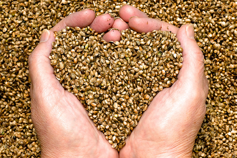 seeds-heart